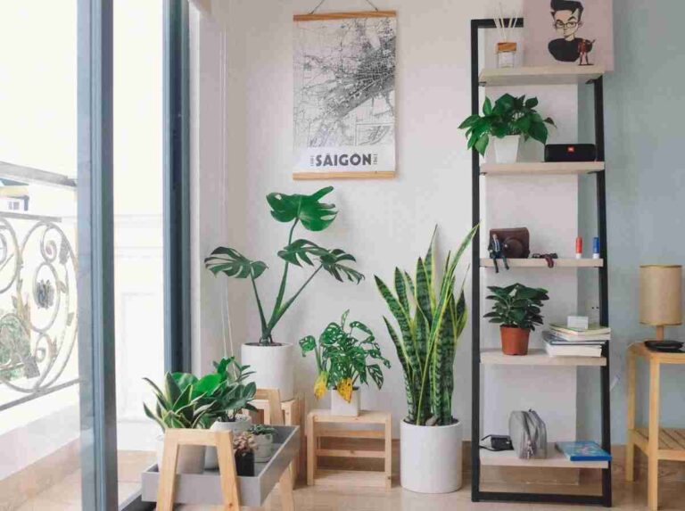 Ideas para colocar plantas de interior en casa