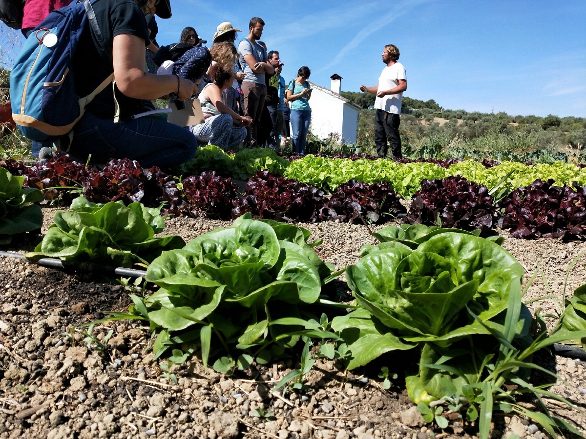 ProClima, capacitación de profesionales por el clima 1 ProClima, capacitación de profesionales por el clima 1