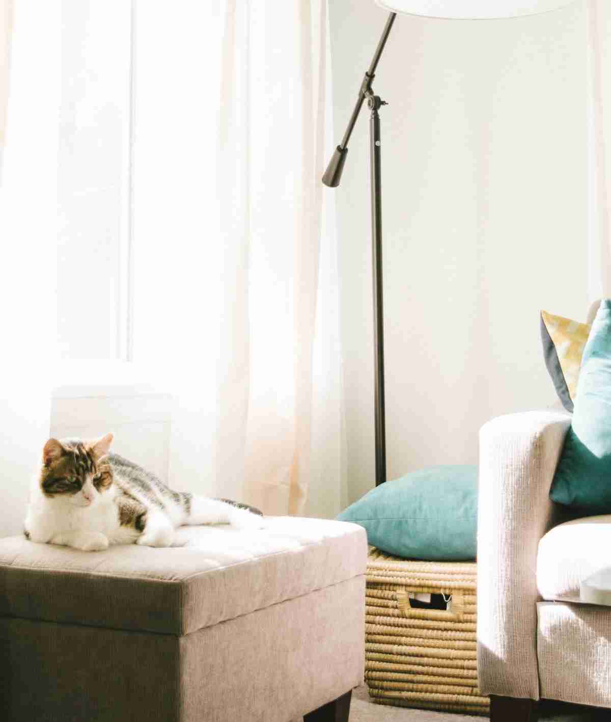 cestas para decorar rincones