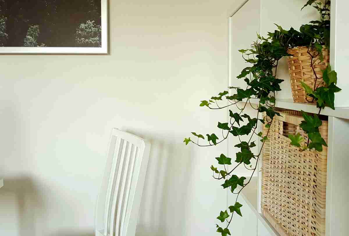 modulares con cestas