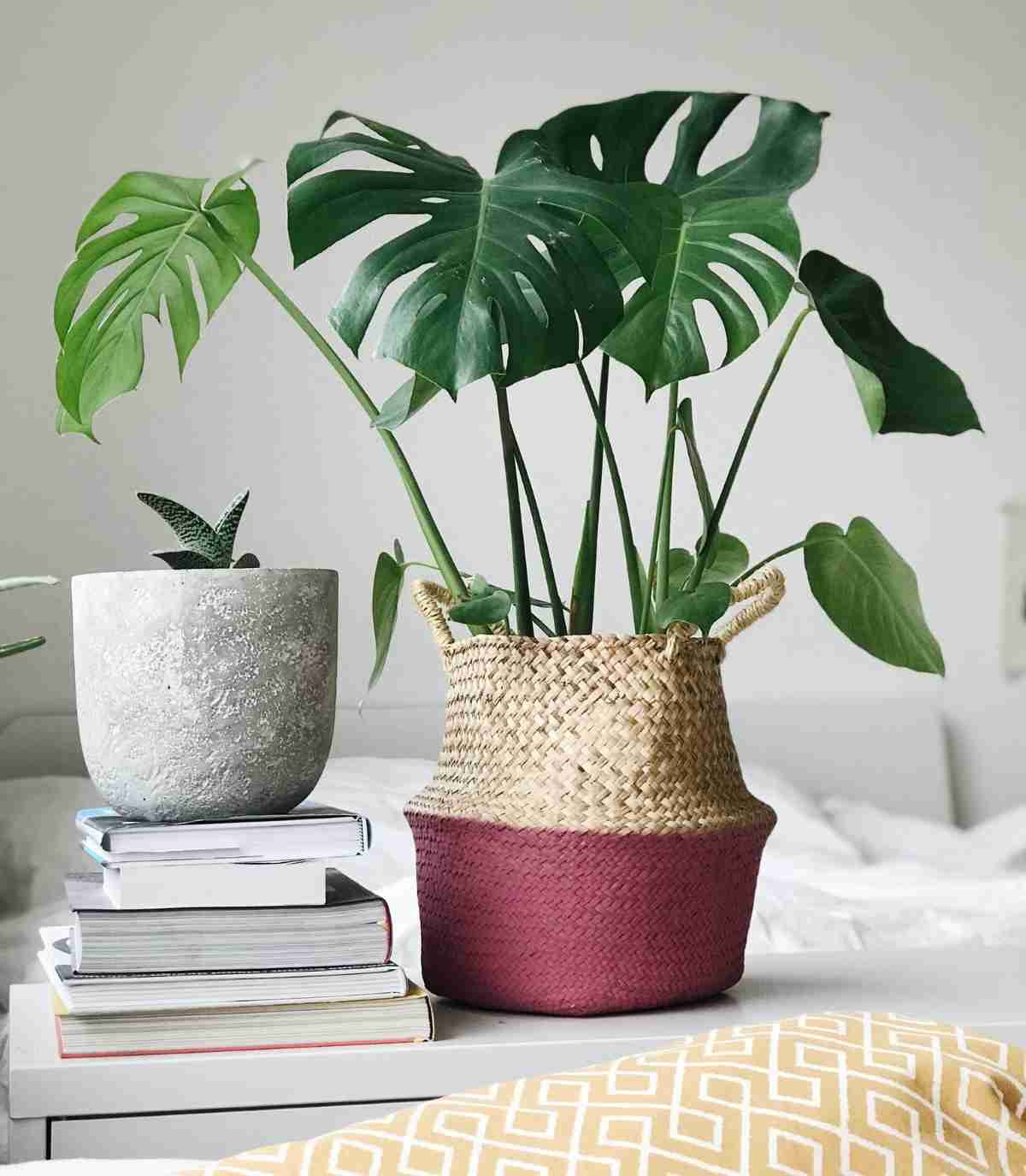 decorar una mesa con una cesta