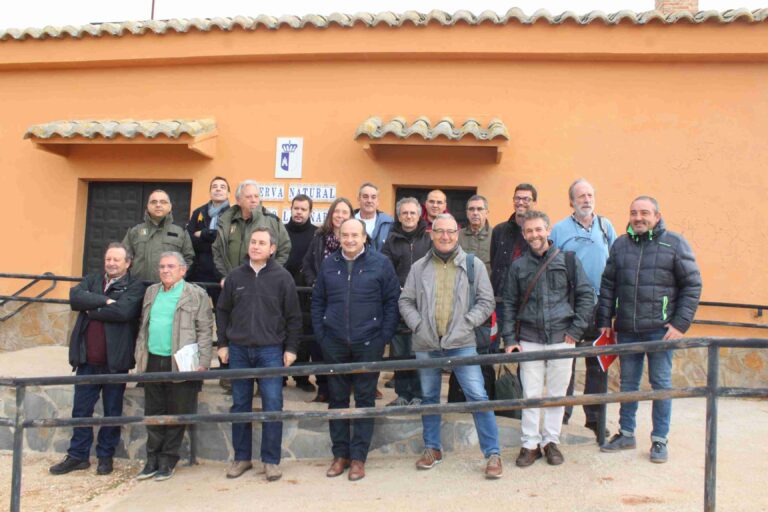 La Cerceta Pardilla en el complejo lagunar de Alcázar