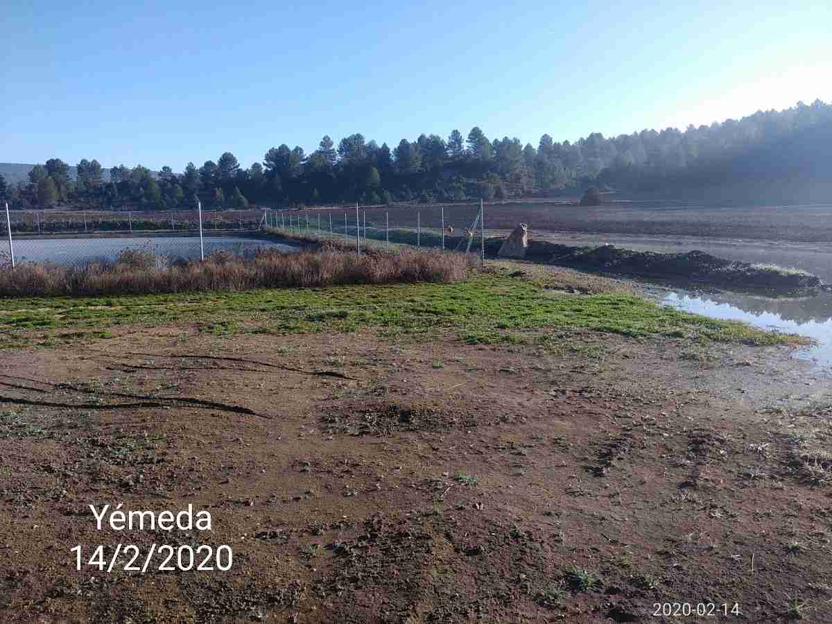 Los pueblos de Cuenca sufren contaminación ambiental y el malestar vecinal se acrecenta 2