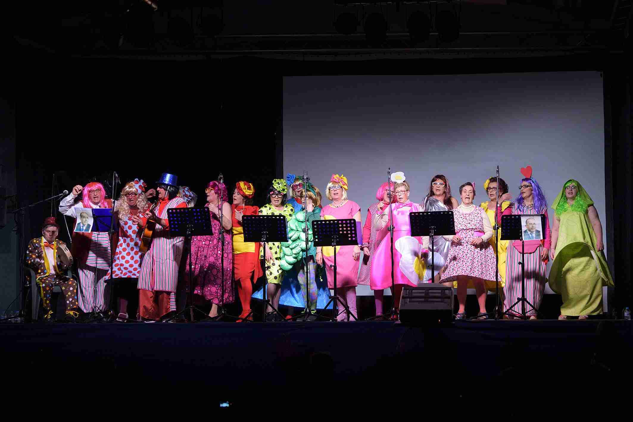 Inaugurado el Carnaval 2020 de Argamasilla de Alba 5