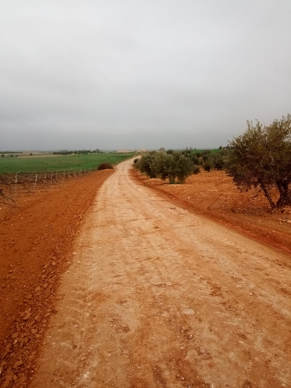 Se arreglaron 16 kilómetros de caminos rurales en Torralba de Calatrava 1