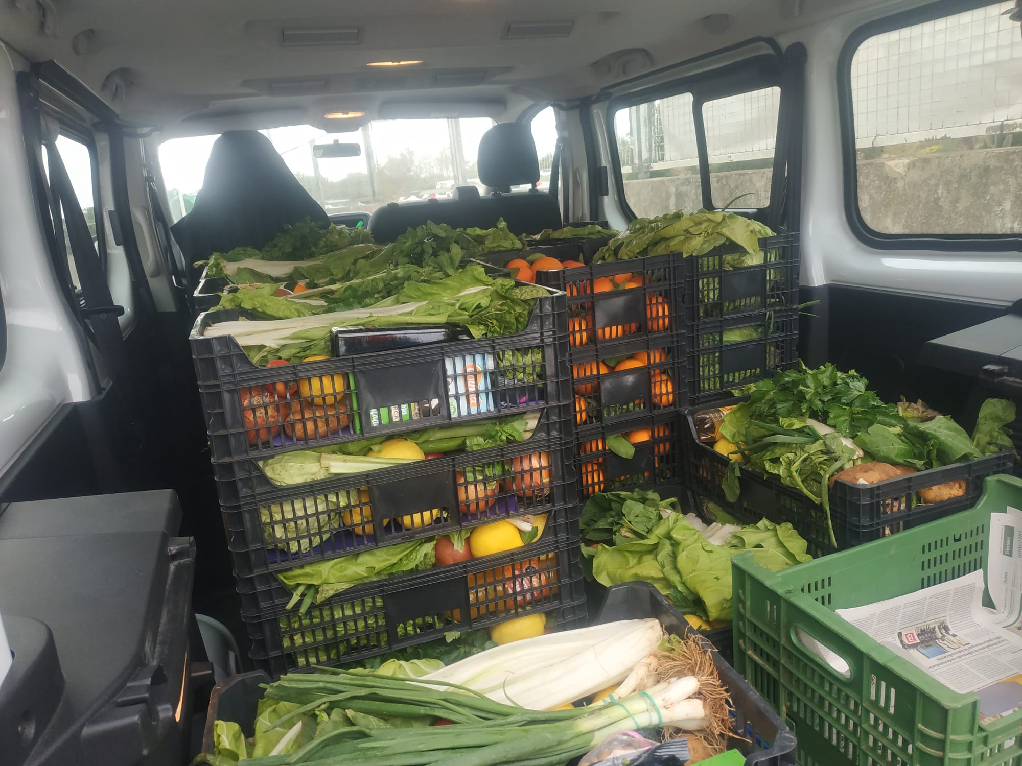 Servicio a domicilio: la oportunidad en plena crisis en Toledo 6 Servicio a domicilio: la oportunidad en plena crisis en Toledo 6