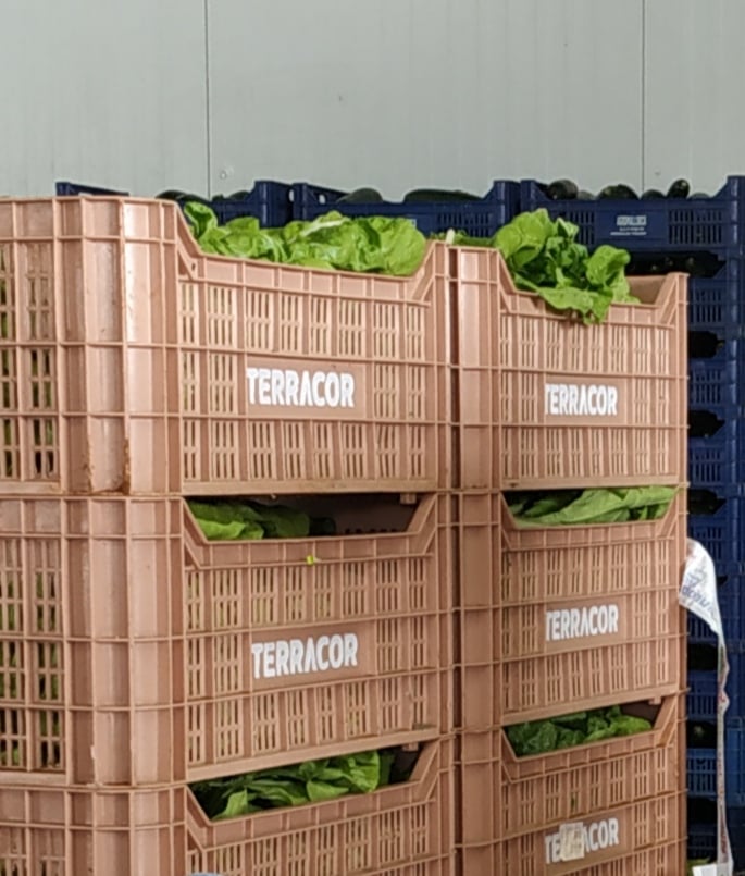 Servicio a domicilio: la oportunidad en plena crisis en Toledo 5