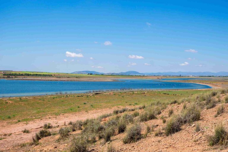 “Cambio Climático” y “Un árbol por Europa”, el compromiso de Alcázar de San Juan para el Día Mundial de la Tierra