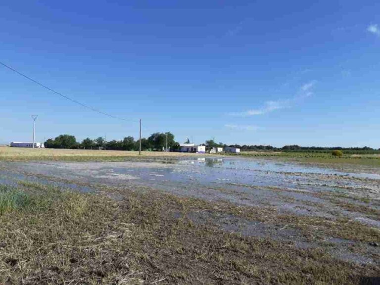 Rotura Tubería General en la Carretera Alcazar de San Juan – Manzanares