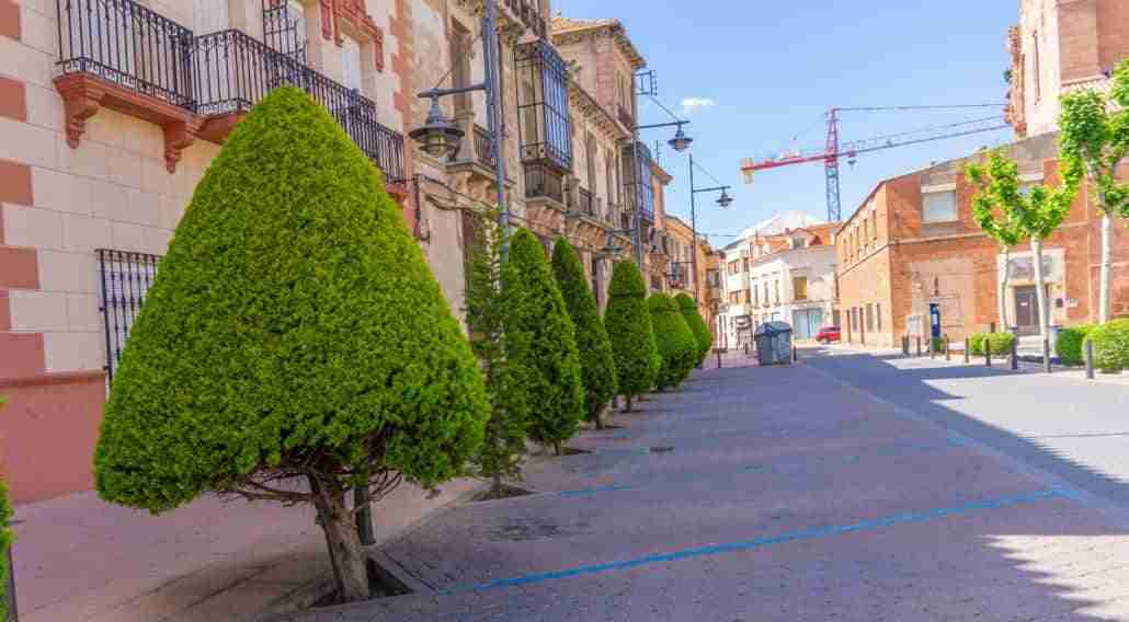 Alcázar cuenta con más de un centener de árboles nuevos con el plan de arbolado viario 1 Alcázar cuenta con más de un centener de árboles nuevos con el plan de arbolado viario 1