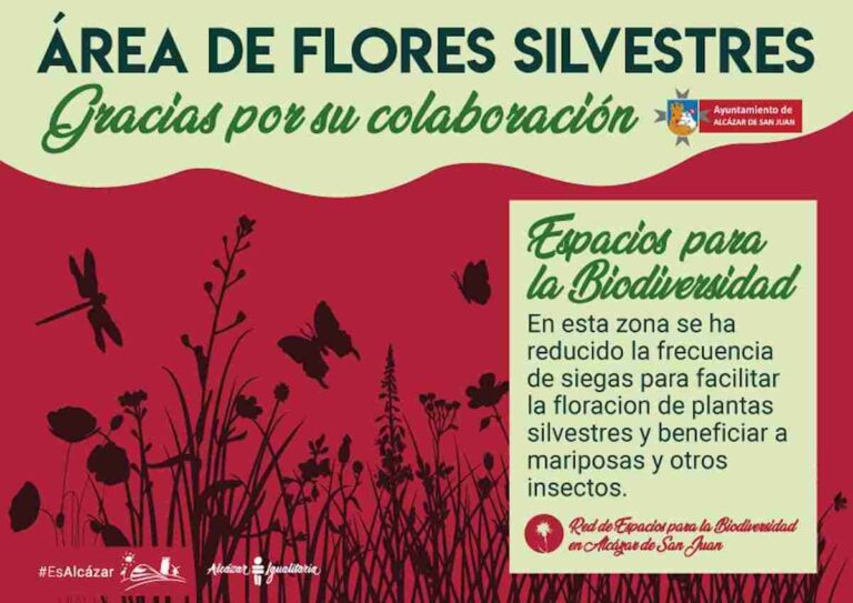 Alcázar celebra el Día Mundial del Medio Ambiente manteniendo la Biodiversidad Urbana