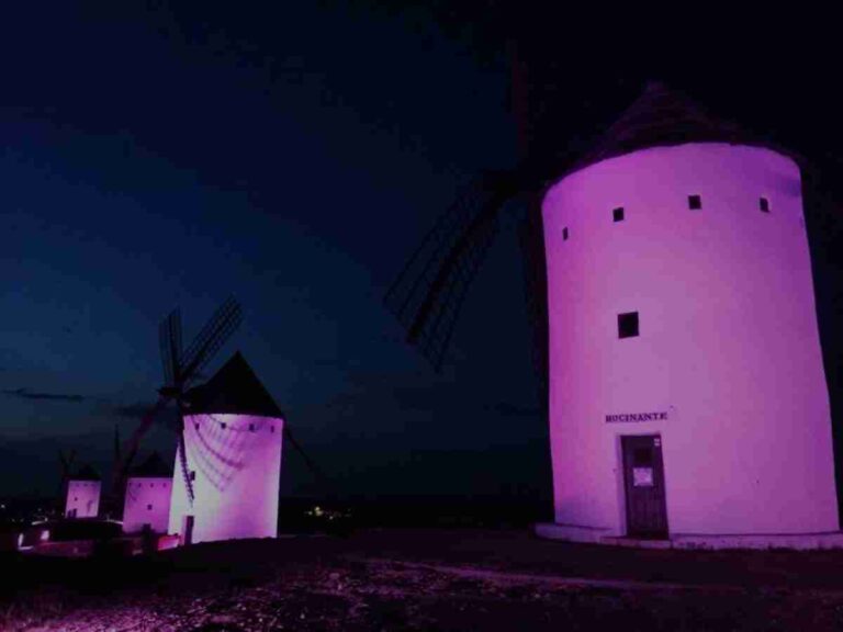 El síndrome de Dravet iluminará de morado los molinos de viento y la fachada del ayuntamiento