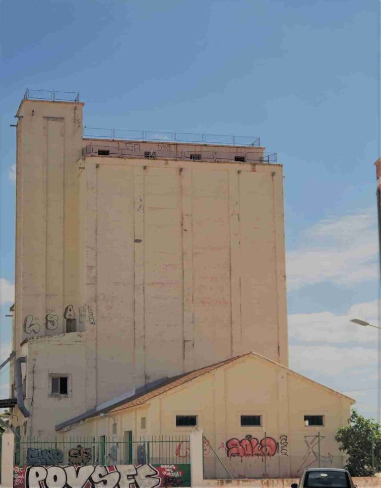 Alcázar de San Juan adopta nuevas medidas para el control de la población de palomas