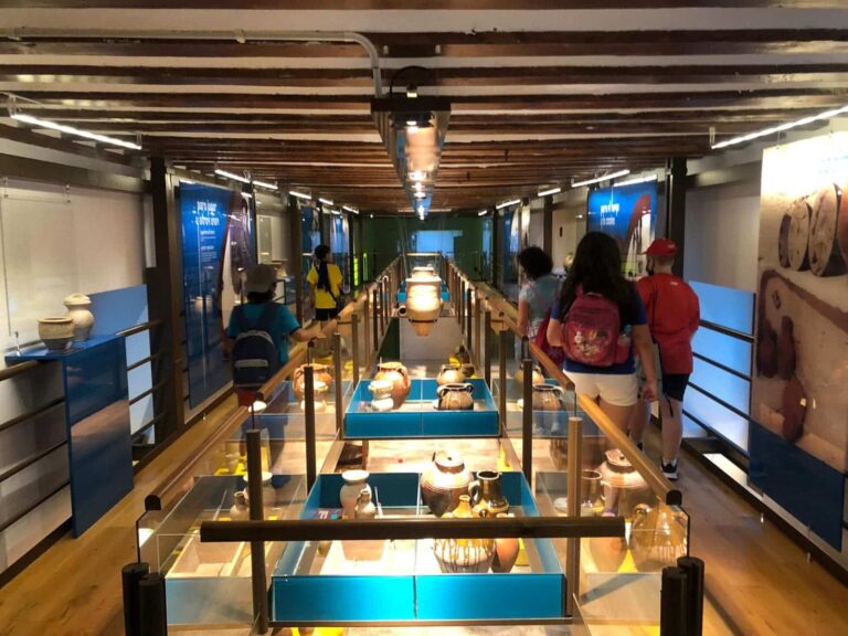 Más de 70 niños participan en el programa DiverAlcázar con salidas al entorno y refuerzo del inglés