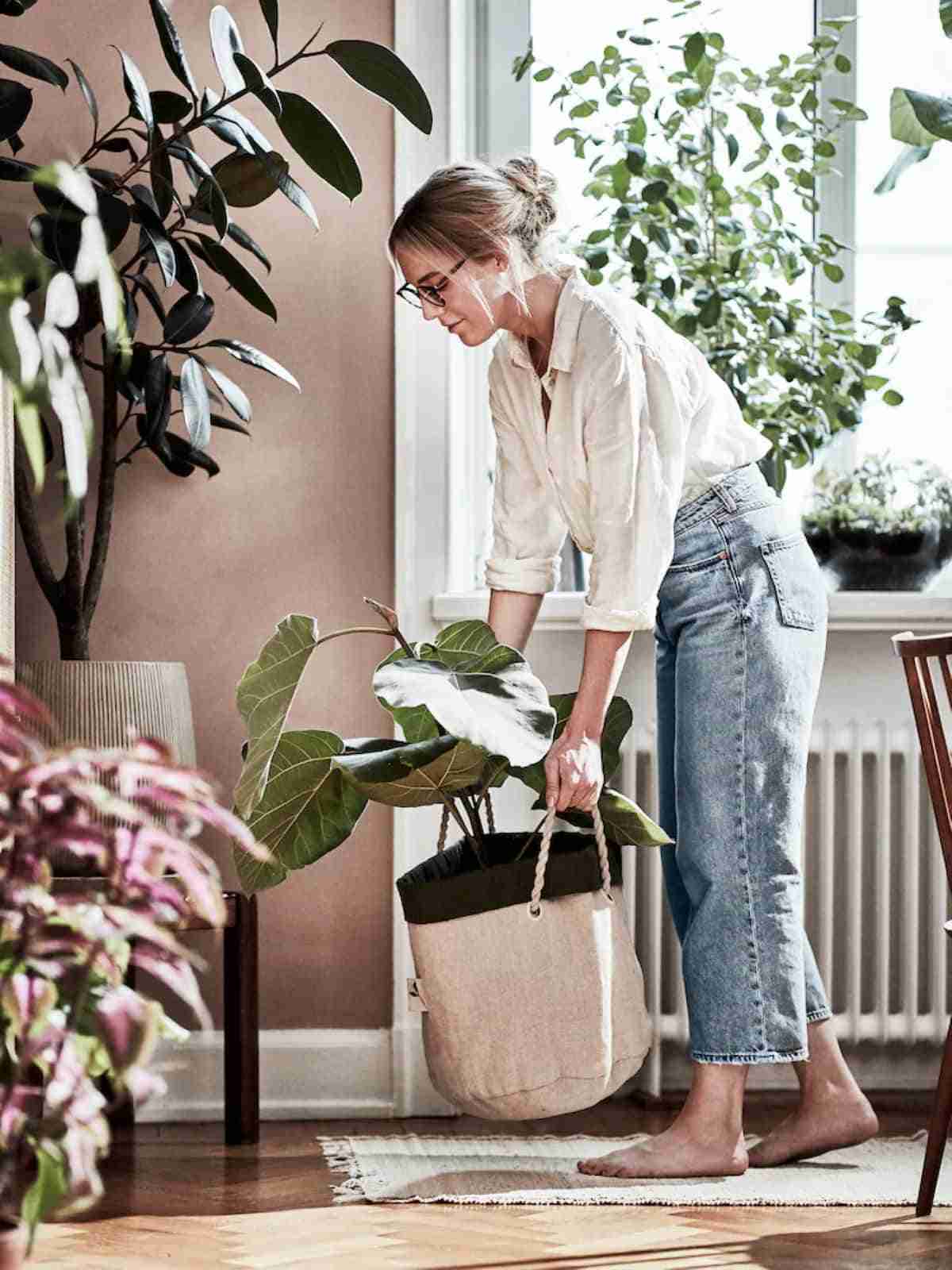 jardineria urbana con botanisk de ikea