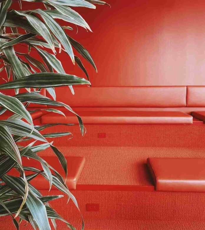 tonalidades del color rojo