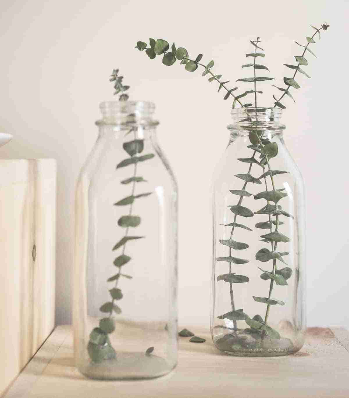 botellas recicladas para decoracion