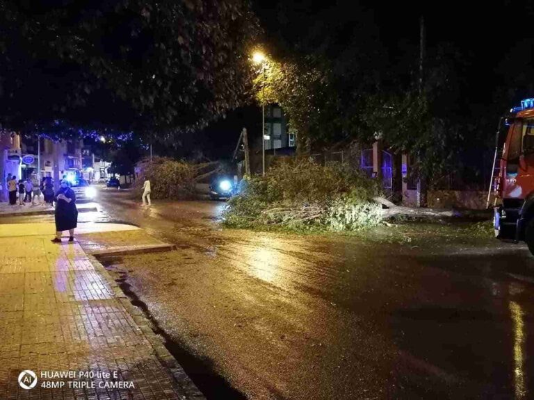 Impresionante tormenta en Alcázar de San Juan que deja mucha agua y caida de árboles