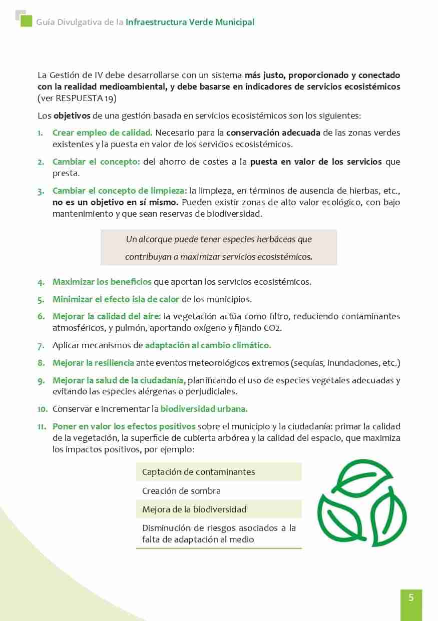 La Concejalía de Movilidad y Transporte anima a caminar como medio de transporte habitual en la Semana Europea de la Movilidad 6