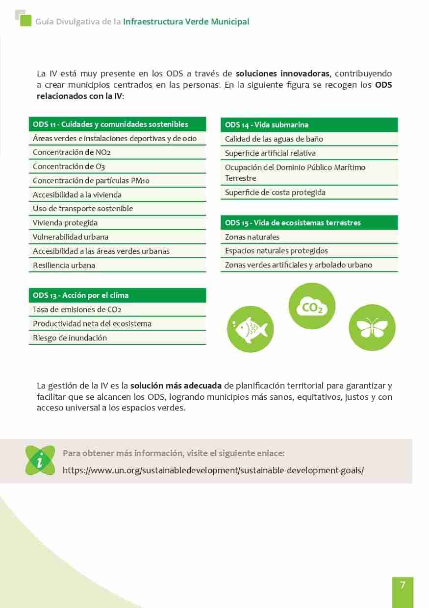 La Concejalía de Movilidad y Transporte anima a caminar como medio de transporte habitual en la Semana Europea de la Movilidad 8