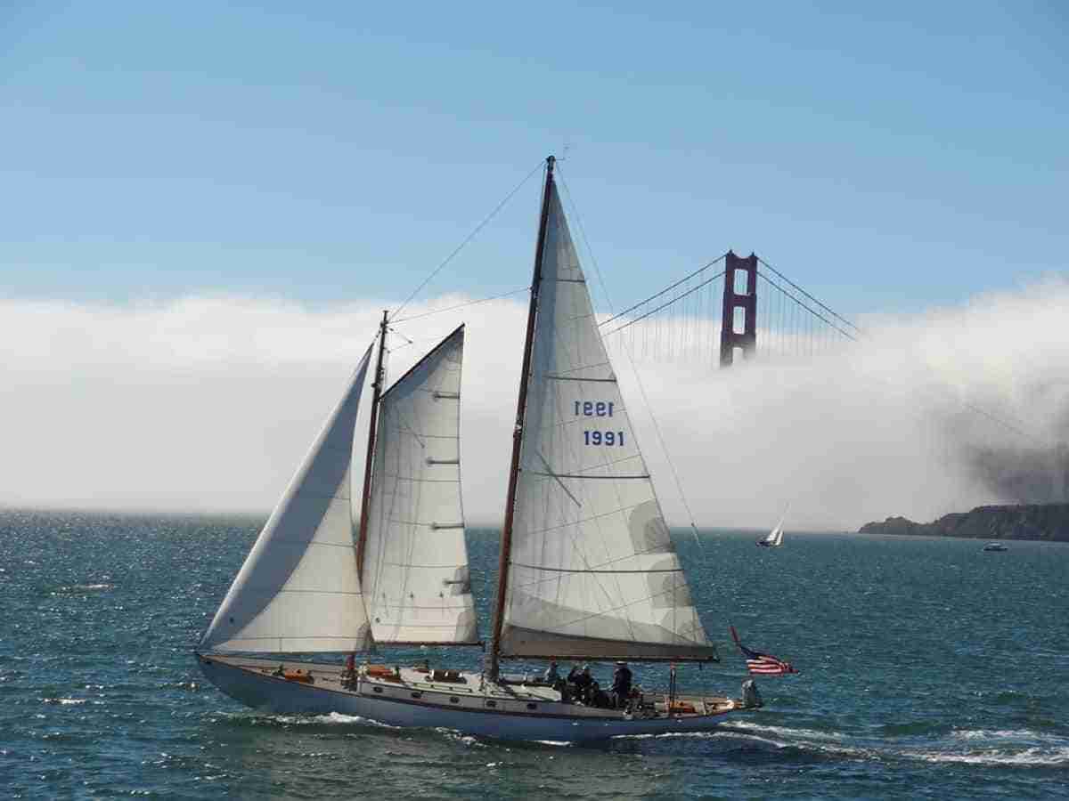 velero en la bahia de san francisco