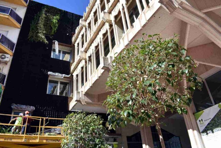 Comienza la fase de plantación del Jardín vertical del Ayuntamiento de Ciudad Real