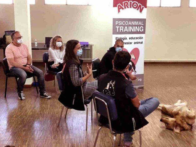 Comienzan las sesiones formativas del programa “Échame una pata”