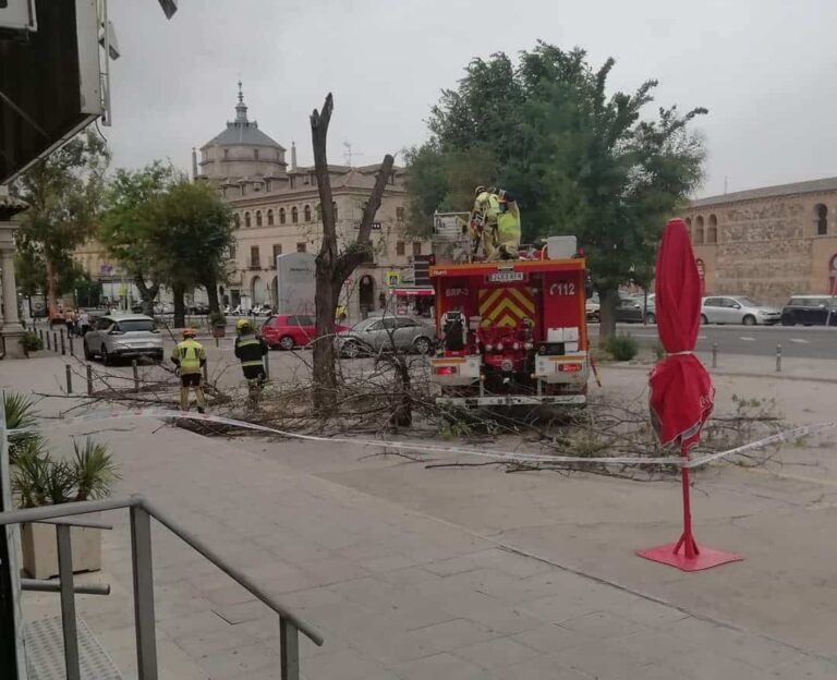 Policía Local y Bomberos atienden 30 incidencias en Toledo a causa de las fuertes rachas de viento