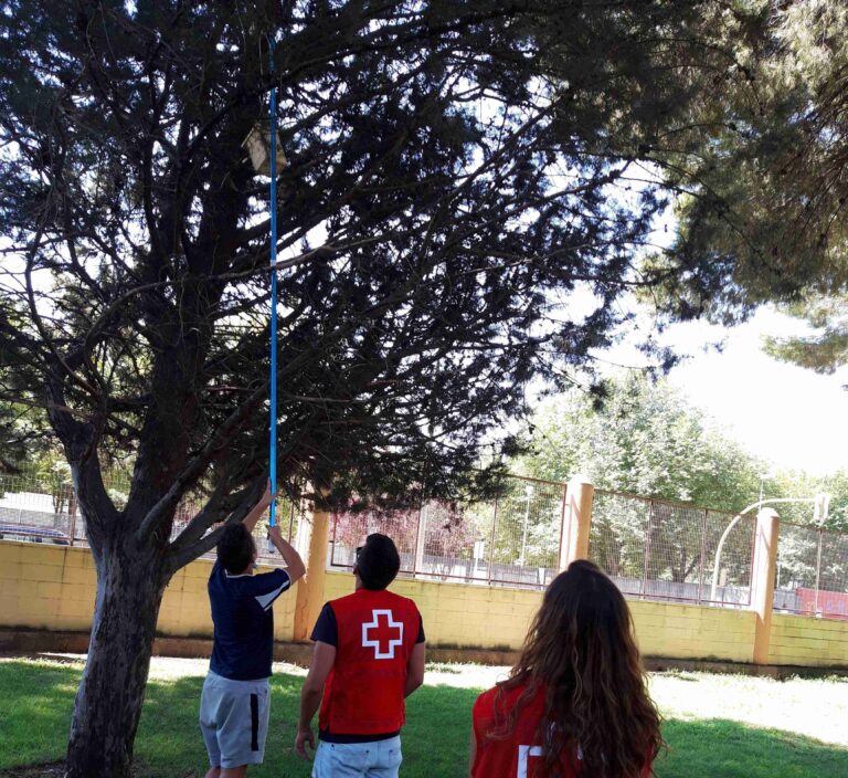 Cruz Roja instala cajas nido contra las plagas de insectos dentro de su estrategia medioambiental