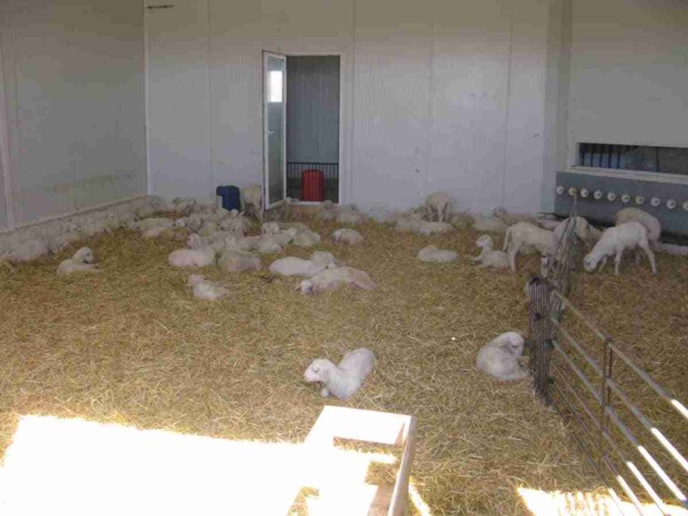 Guardia Civil ha detenido a una persona presunta autora de los delitos de robo con fuerza y daños