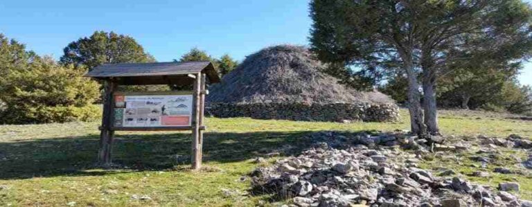 Pacto Verde: La Comisión adopta una nueva Estrategia para las sustancias químicas con miras a un entorno sin sustancias tóxicas