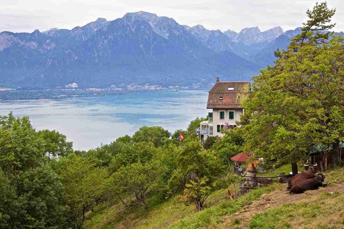 Escapada a Montreux un paisaje de verdor en Suiza 4 vista de montreux suiza