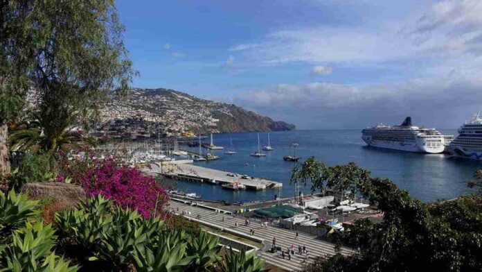 puerto de madeira