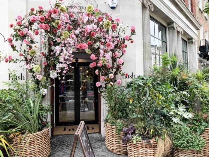 preciosas cestas de mimbre