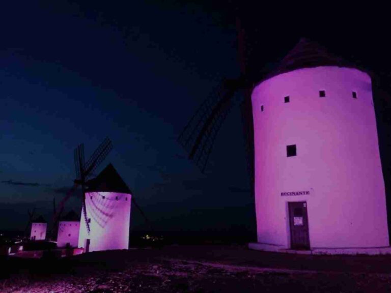 Iluminación morada para conmemorar el Día Internacional de la Mujer