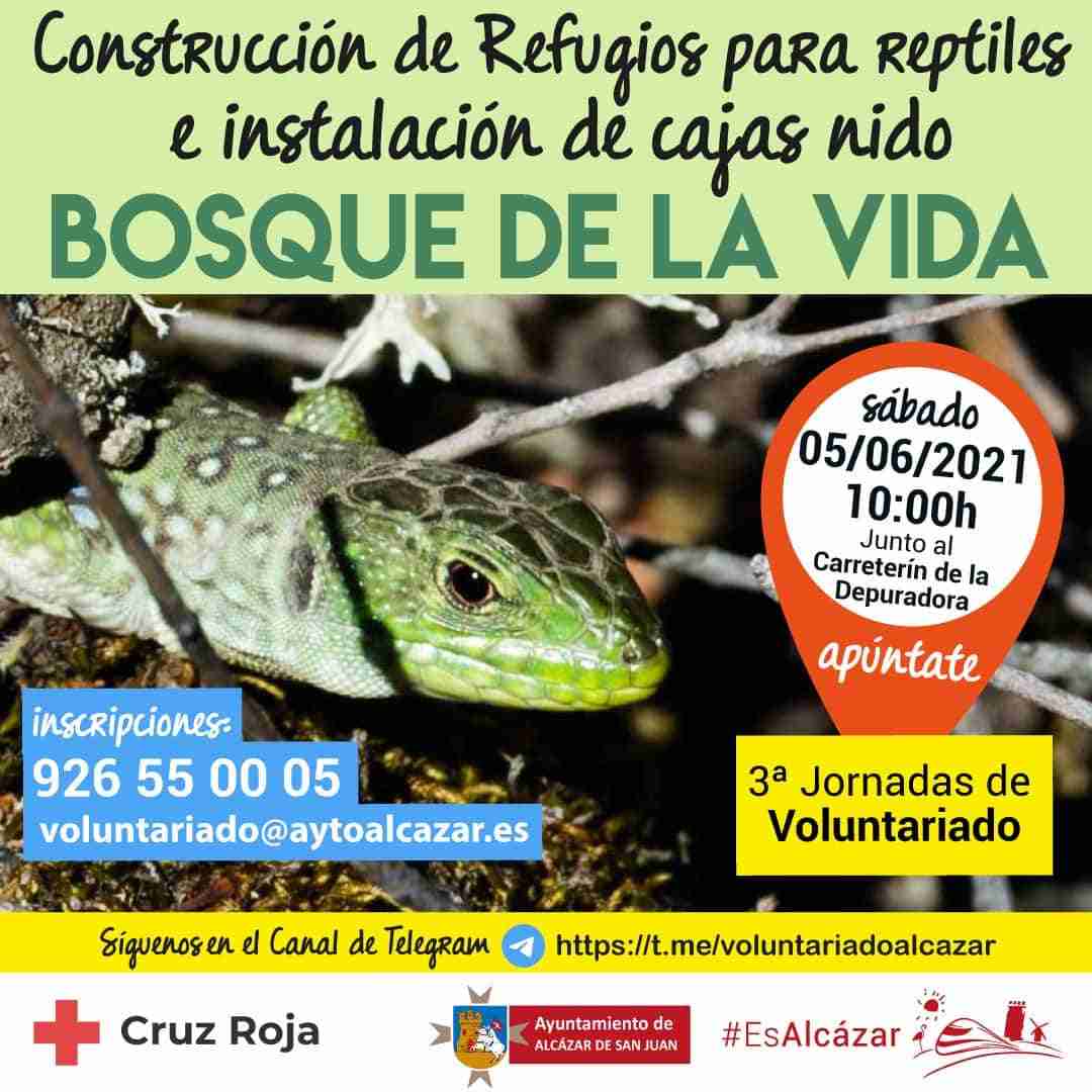 Alcázar celebrará el Día del Medio Ambiente con una jornada de voluntariado para construir refugios para reptiles e instalación de cajas nido 1
