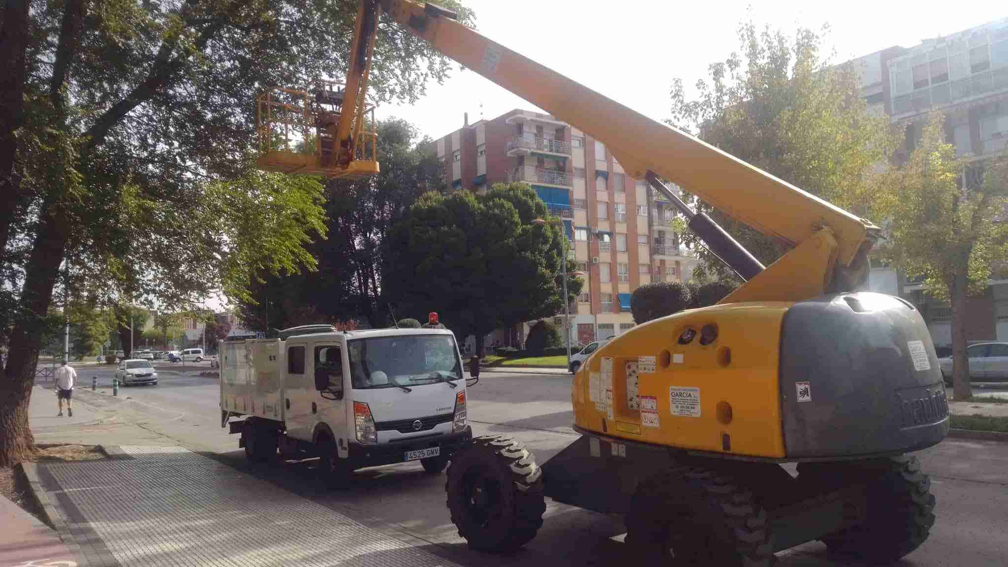 Continúan los trabajos de retirada de ramas y árboles caídos por la tormenta 1