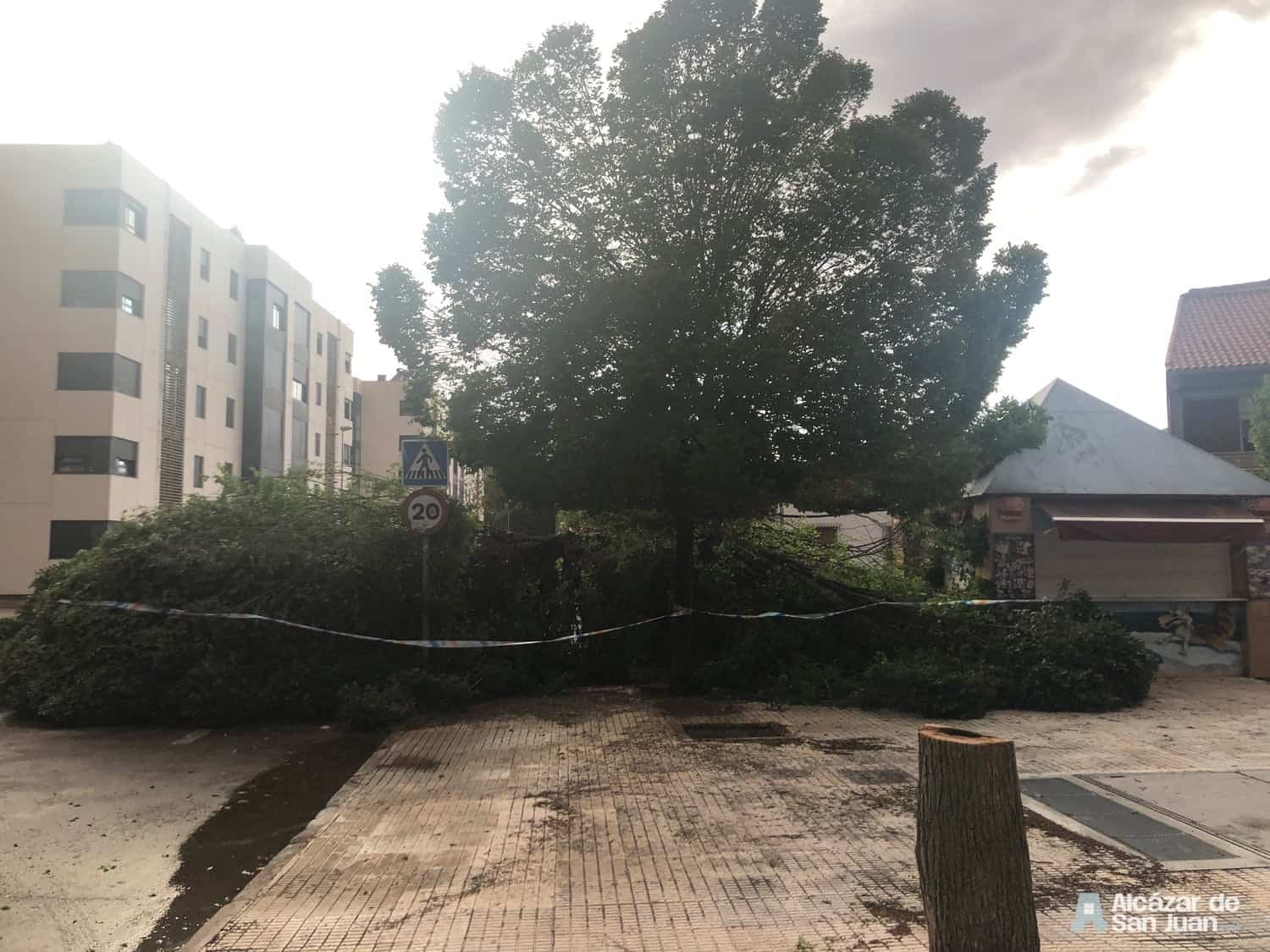 Caída de árboles y ramas en otra tromba de agua de Alcázar de San Juan 1 Caída de árboles y ramas en otra tromba de agua de Alcázar de San Juan 1