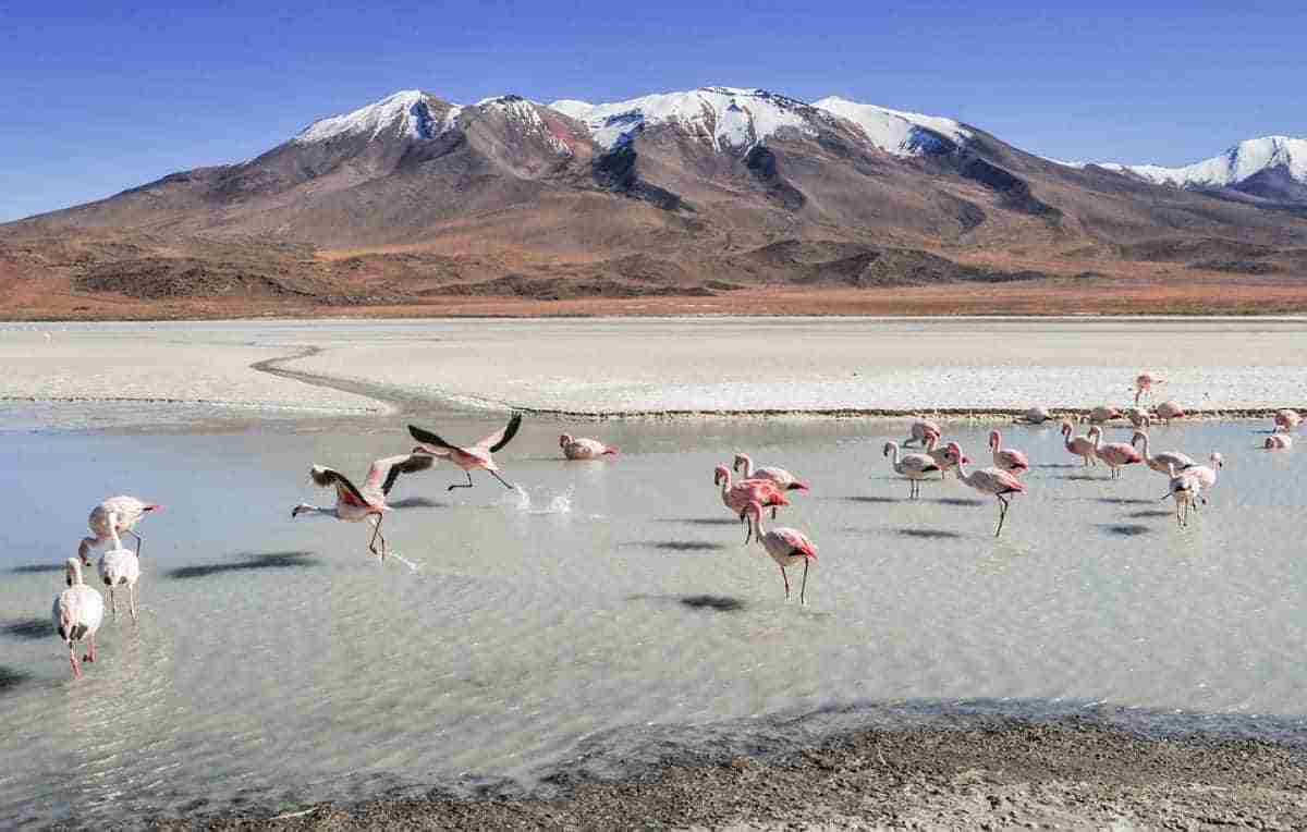 Bolivia tiene 3 espectaculares lugares que debes conocer 1 salar de uyuni en bolivia