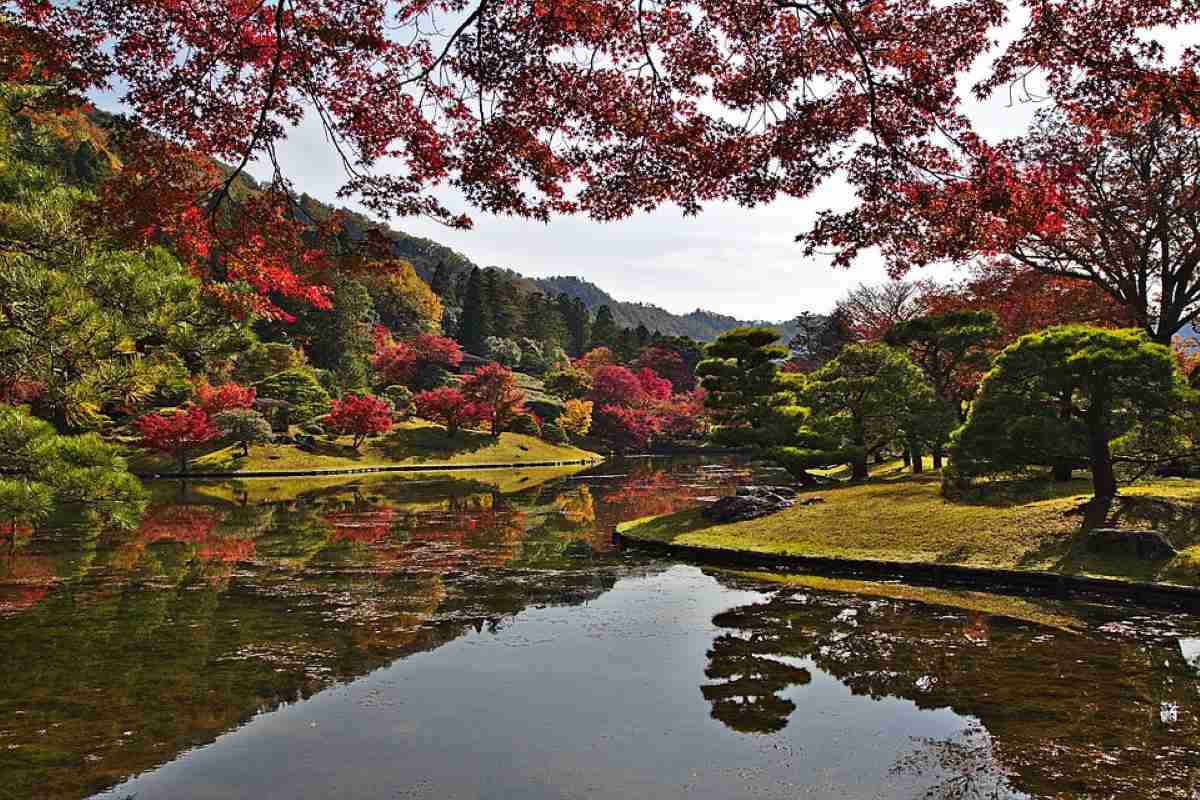 jardin en kioto