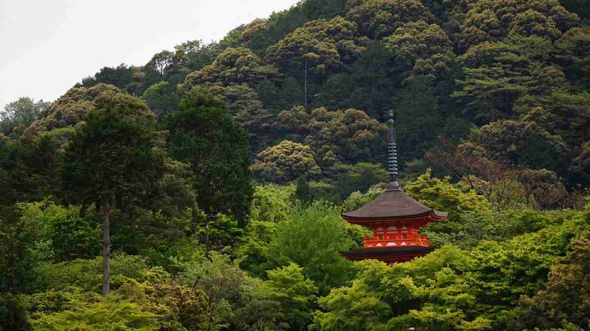paisaje de kioto