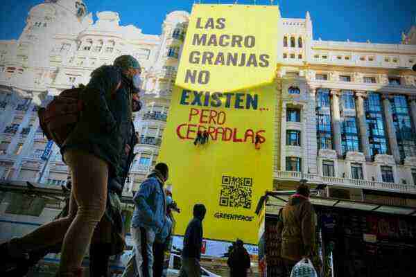 Greenpeace “trolea” su propia pancarta en Gran Vía para exigir el cierre de las macrogranjas