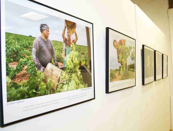 exposicion-in-vino-veritas-en-puertollano.jpg