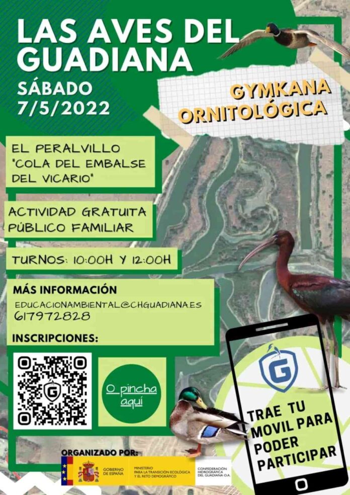 gymkana-peralvillo-sabado-gratuita.jpg