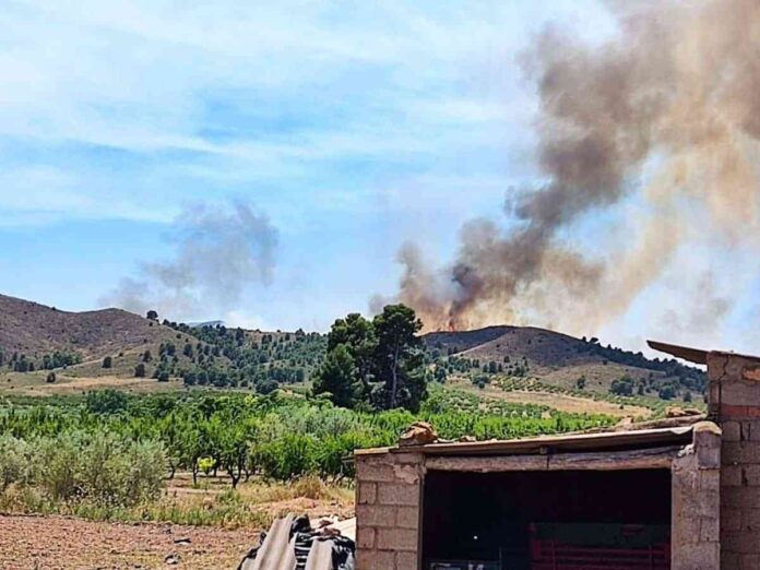 Controlado-el-fuego-de-Agra-Albacete.jpg
