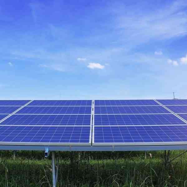 DOP Méntrida, preocupada por las "excesivas" instalaciones fotovoltaicas, pedirá a Junta que equilibre la situación