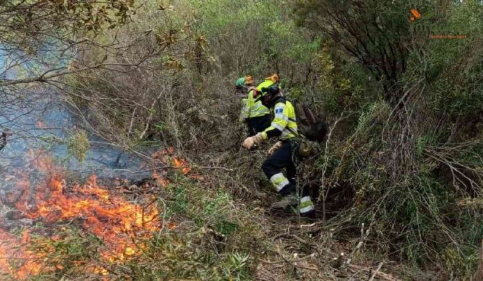 Extinguido-el-incendio-originado-el-lunes-en-Almaden.jpg