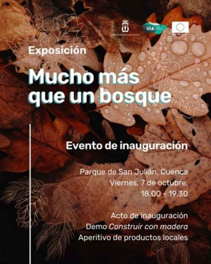 exposicion-mucho-mas-que-un-bosque-ufil-cuenca.jpg