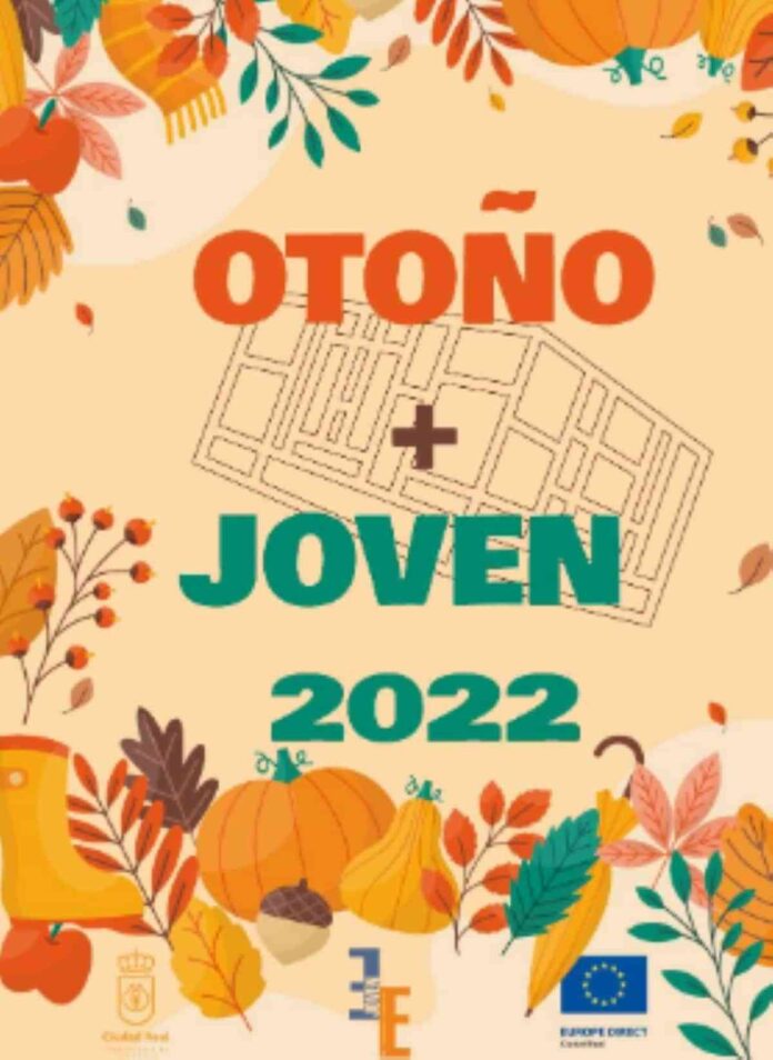 panel-sobre-voluntariado-espacio-joven-ciudad-real.jpg