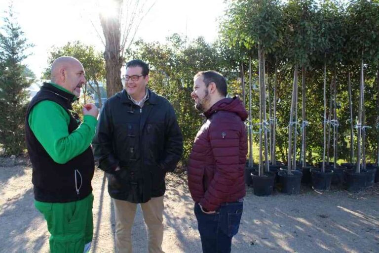 La primera fase del Plan de Arbolado 2023 trae 138 ejemplares a las calles de Alcázar de San Juan